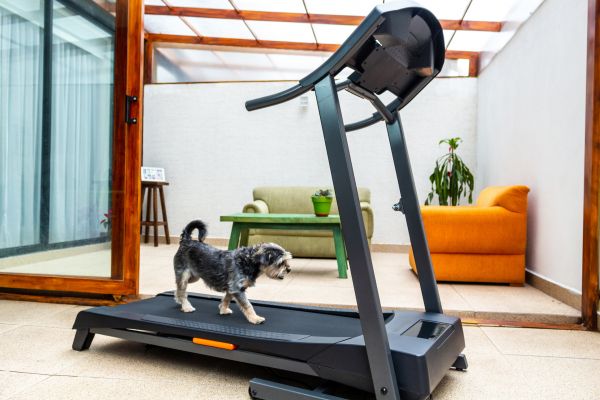 Treadmill Installation in Ringgold