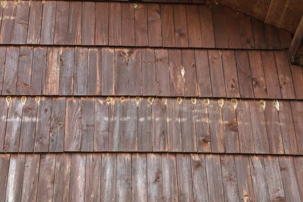 Woodpecker Hole Filling in Ringgold