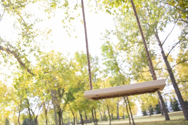 Tree Swing Installation in Ringgold