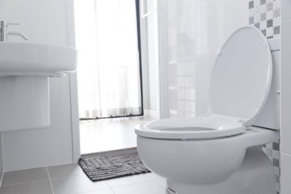 Toilet Seat Installation in Ringgold
