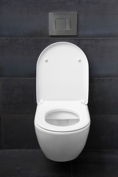 Toilet Lid Installation in Ringgold