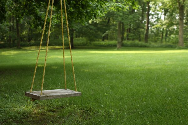 Rope Swing Installation in Ringgold
