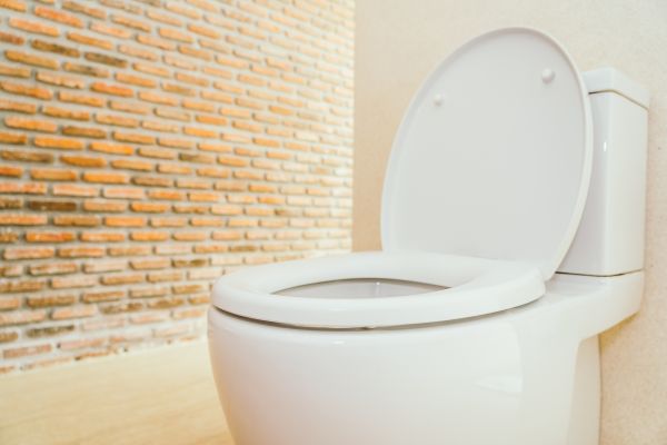 Toilet Seat Repair in Ringgold